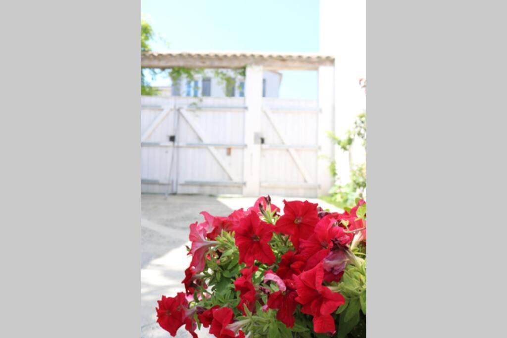 La Virginie - Suite Ile'O La Couarde-sur-Mer Exterior foto